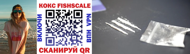 Кокаин FishScale  где купить наркотик  Александровское 