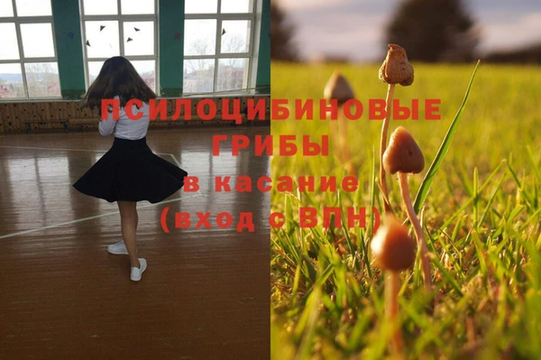 прущий лед Алексин