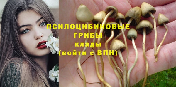 ПСИЛОЦИБИНОВЫЕ ГРИБЫ Алзамай
