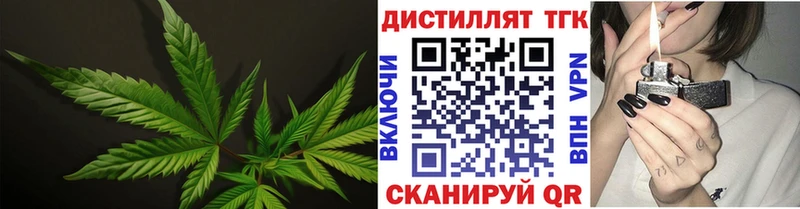 Дистиллят ТГК Wax  Александровское 