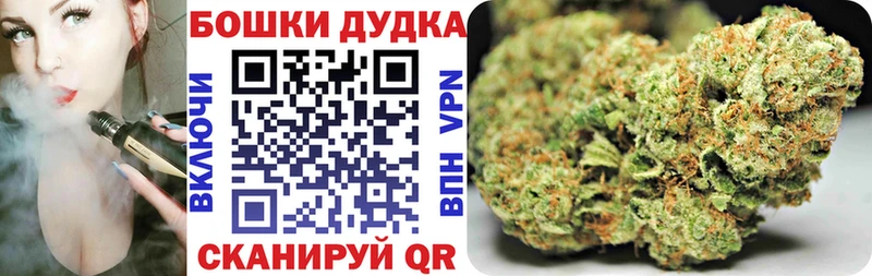 купить наркоту  Александровское  Бошки марихуана марихуана 